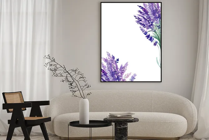 Plakat: Set of lavender flowers elements on an isolated white background,