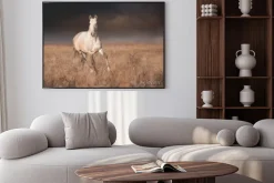 Plakat: Siwy koń prowadzony