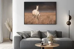 Plakat: Siwy koń prowadzony