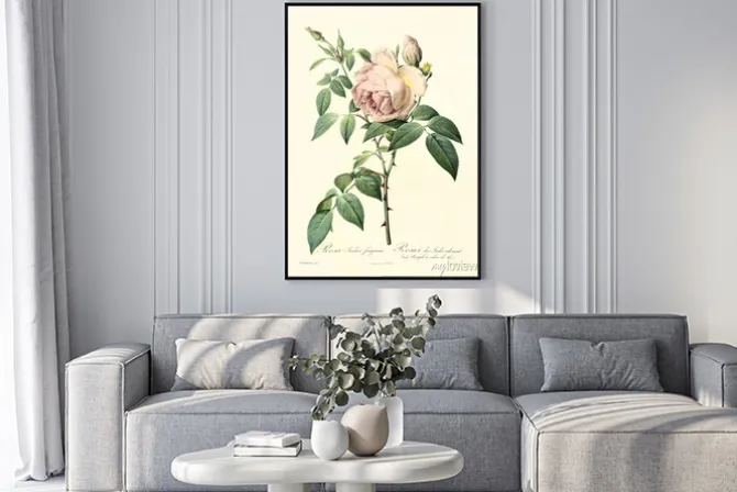 Plakat: Stara rycina z gałązką róży