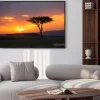 Plakat: Sunset in the serengeti national park, tanzania, africa