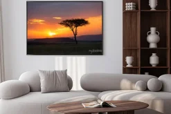 Plakat: Sunset in the serengeti national park, tanzania, africa