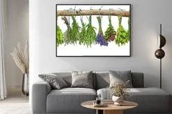 Plakat: Suszone zioła kuchenne wiszące na drewnianej gałęzi