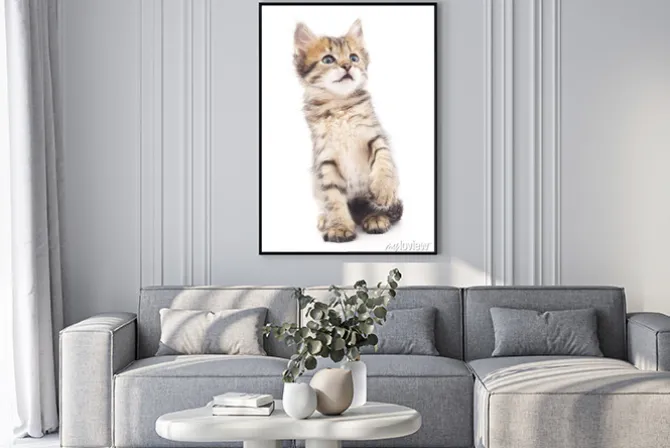 Plakat: Szary kotek odtwarzane.