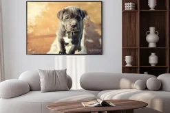 Plakat: Szary mastif neapolitański szczeniaka