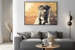 Plakat: Szary mastif neapolitański szczeniaka