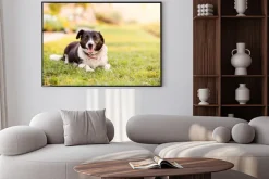Plakat: Szczęśliwy pies leżący na zielonej trawie z biegnących łap
