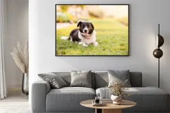 Plakat: Szczęśliwy pies leżący na zielonej trawie z biegnących łap