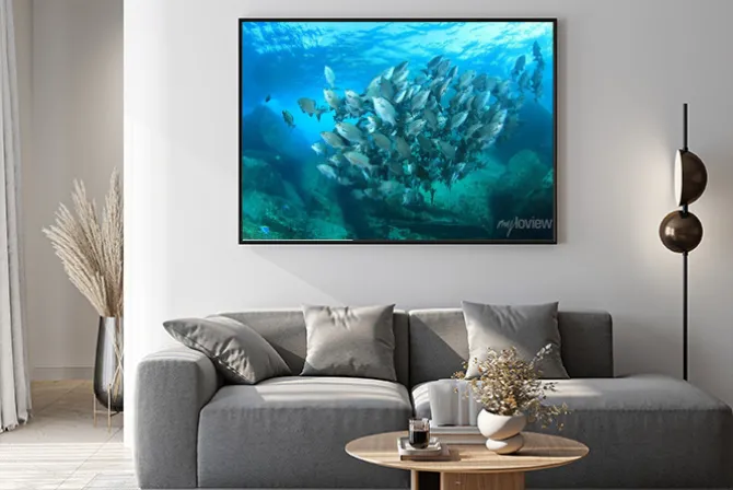 Plakat: Szkoła ryby na podwodne rafy koralowej w morzu oceanu