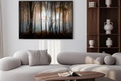 Plakat: Tajemniczy zamglony las