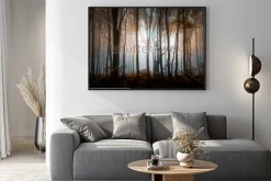 Plakat: Tajemniczy zamglony las