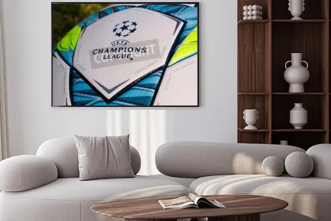 Plakat: This is the office ball played in the final match between bayern