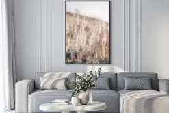 Plakat: Trawa pampasowa makro