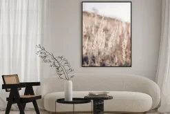 Plakat: Trawa pampasowa makro