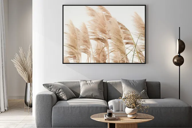 Plakat: Trawy pampasowe na jasnym tle