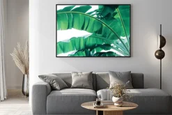 Plakat: Tropical green leaves pattern on white background, lush foliage