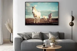 Plakat: Trzy białe konie