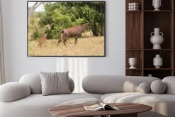 Plakat: Tsessebe mama i cielę