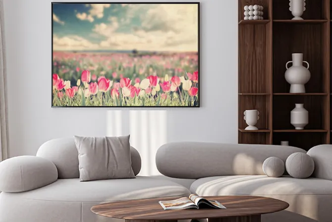 Plakat: Tulipan kwiaty polne rocznika