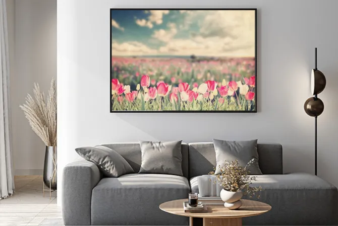 Plakat: Tulipan kwiaty polne rocznika