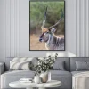 Plakat: Waterbuck w kruger national park, republika południowej afryki