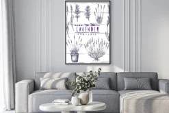 Plakat: Wektor zestaw lawendy