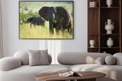 Plakat: Wielki słoń afrykański w parku narodowym serengeti