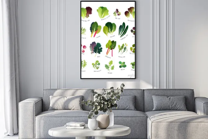 Plakat: Wspólne liściaste warzywa, takie jak sałata, endywija kędzierzawa,