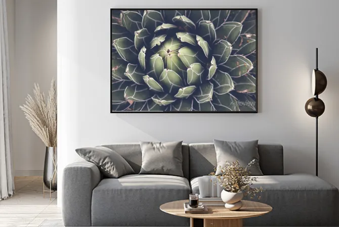 Plakat: Zamknąć z agawy sukulenty, selektywne fokus, tonowania