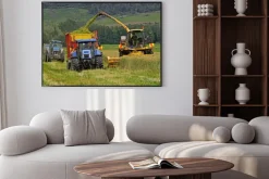 Plakat: Zbioru pszenżyto na kiszonkę