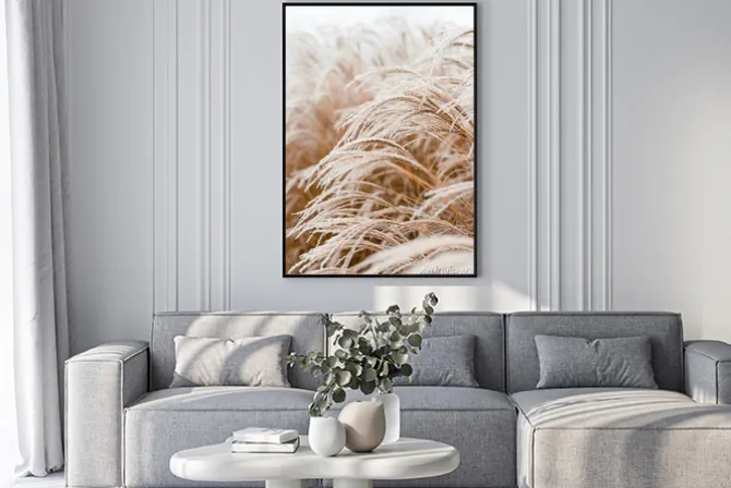 Plakat: Zbliżenie na delikatne trawy ozdobne