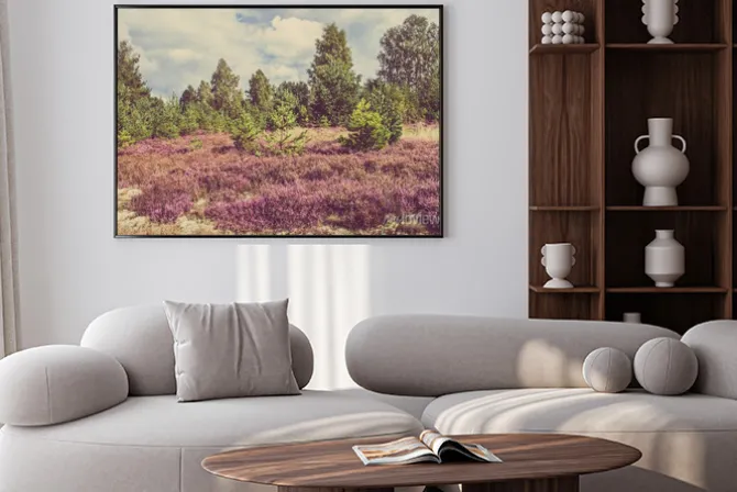 Plakat: Zdjęcia archiwalne wrzosu w lesie, na wsi krajobrazu.