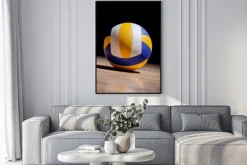 Plakat: Zdjęcie piłki do siatkówki