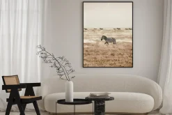 Plakat: Zebry na safari