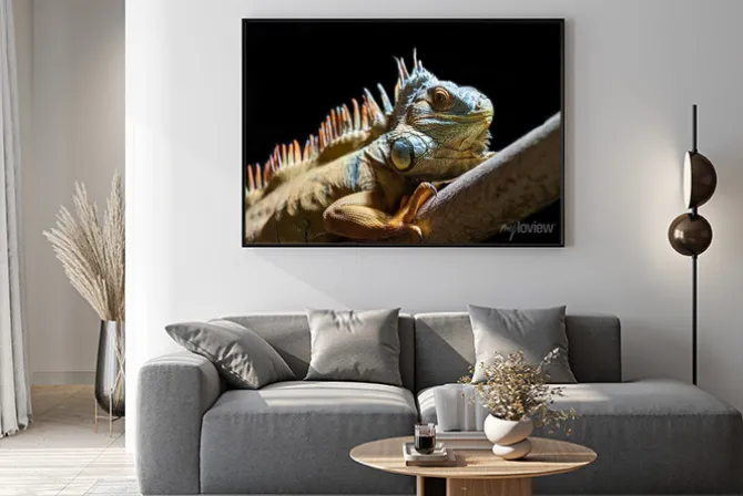 Plakat: Zielona jaszczurka