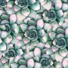 Tapeta: Akwarela bezszwowe botaniczny wzór z sukulenty