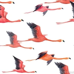 Tapeta: Akwarela flamingo wzór