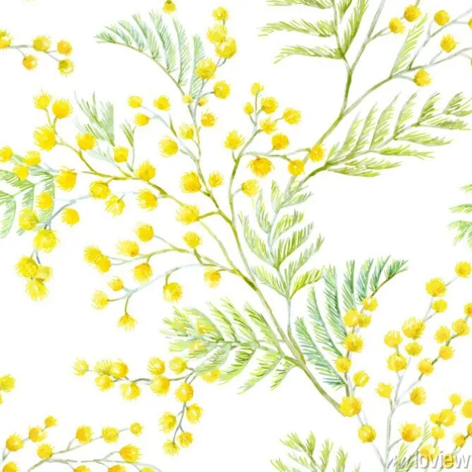 Tapeta: Akwarela mimozy wektor wzór