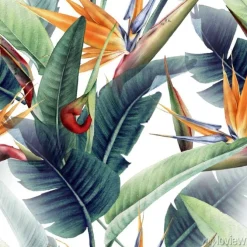 Tapeta: Akwarelowe kwiaty tropikalne
