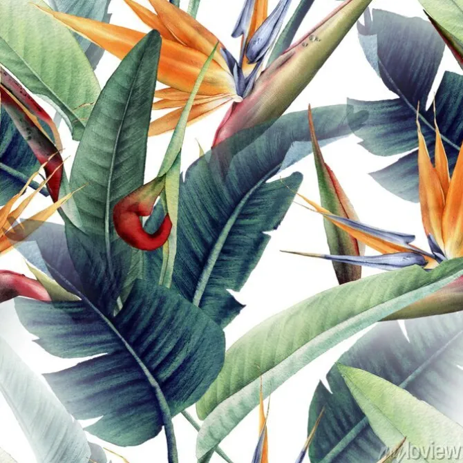 Tapeta: Akwarelowe kwiaty tropikalne