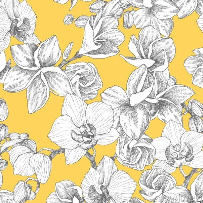 Tapeta: Bezszwowy wzór. ręcznie rysowane kontur bukiet z orchidei i plumeria.