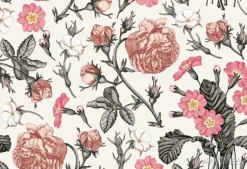 Tapeta: Białe i różowe kwiaty retro na białym tle