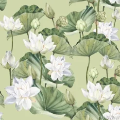 Tapeta: Białe kwiaty lotosu i liście na zielonym tle