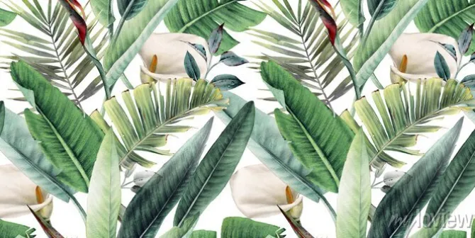 Tapeta: Białe kwiaty wśród tropikalnych liści