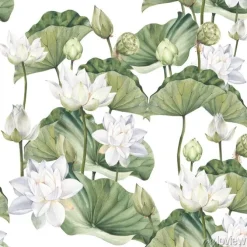 Tapeta: Białe lilie wodne i liście malowane akwarelą