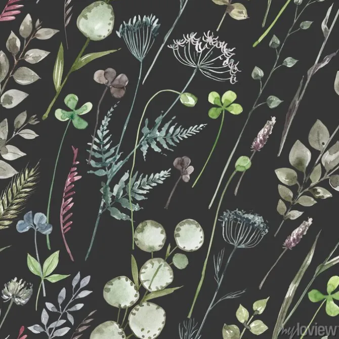 Tapeta: Botanical seamless pattern with field herbs and leaves on a dark