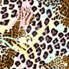 Tapeta: Cheetah gone wild