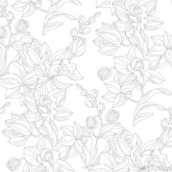 Tapeta: Czarne kontury gałązek i kwiatów storczyka na białym tle