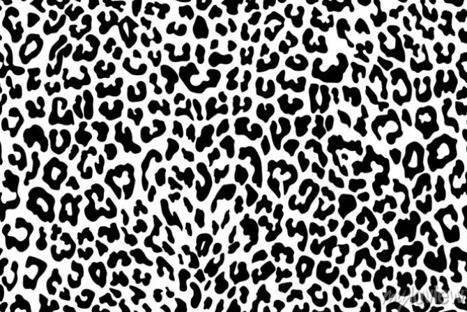 Tapeta: Czarne lamparcie cętki na białym tle