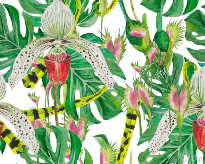 Tapeta: Deseń liści potwory i storczyki, dobrze rozmieszczone, nadające